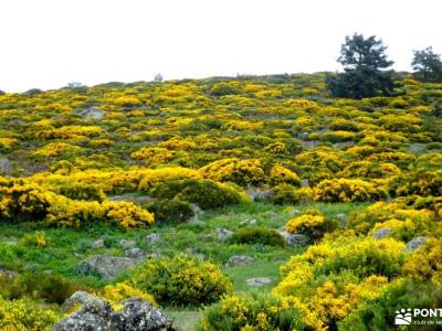 Mirador Peña El Cuervo-Valle Lozoya; el bosque de irati rutas culturales madrid grupos de senderismo